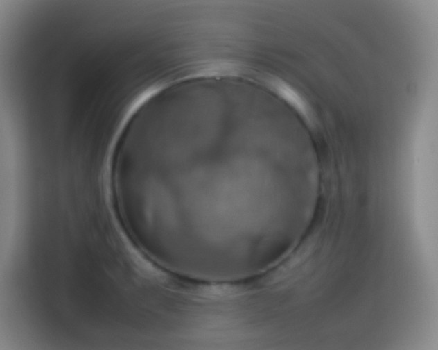 X0000113781087200909301144