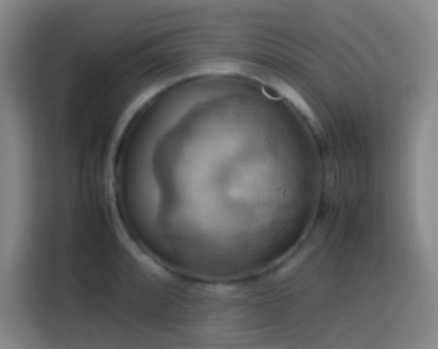 X0000113781088200909301144