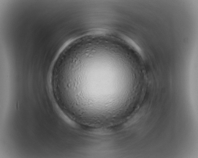 X0000113781091200909301144