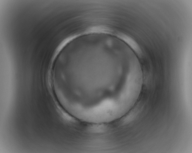 X0000113781094200909301144