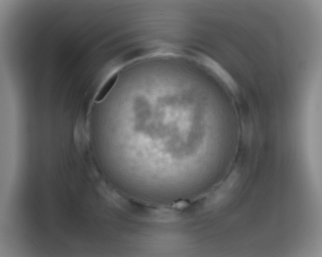 X0000113781097200909301144