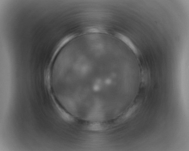 X0000113781098200909301144
