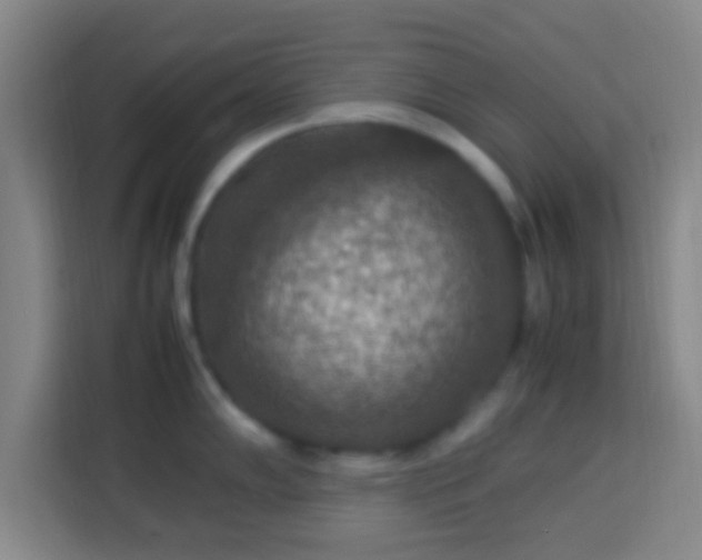 X0000113781102200909301144