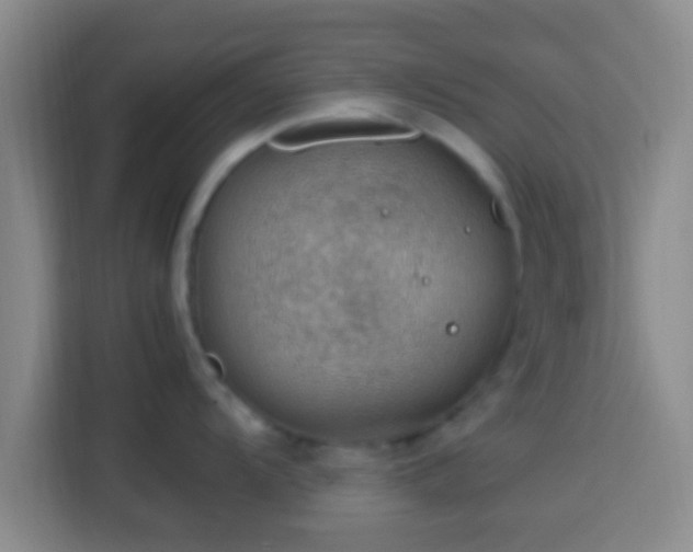 X0000113781104200909301144