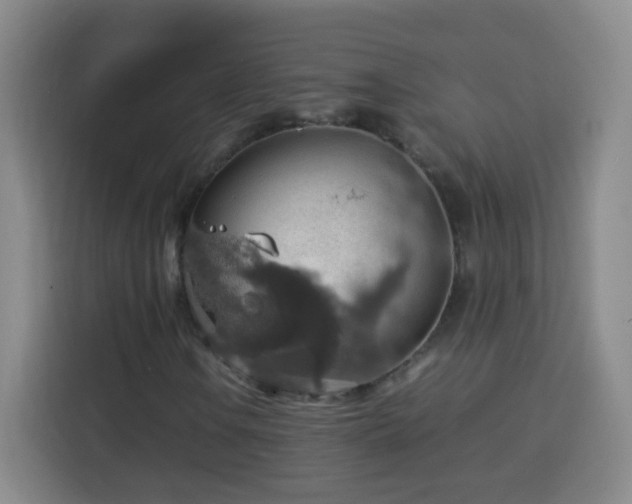 X0000113781106200909301144