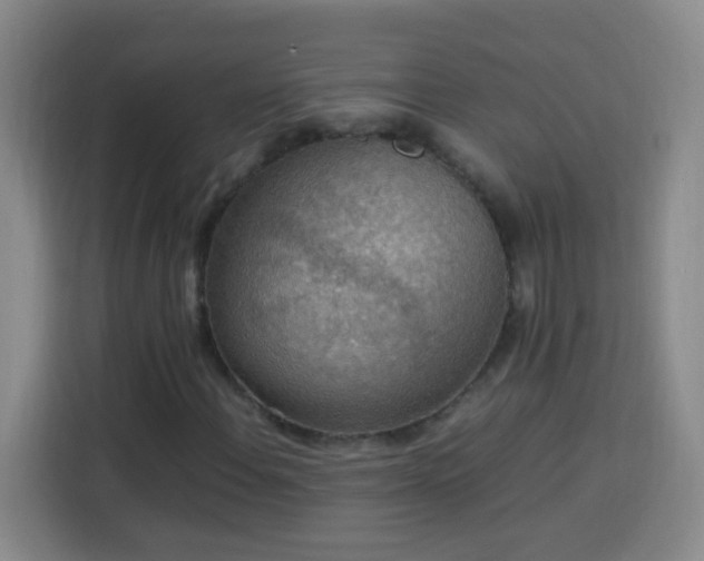 X0000113781108200909301144