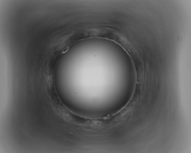 X0000113781109200909301144