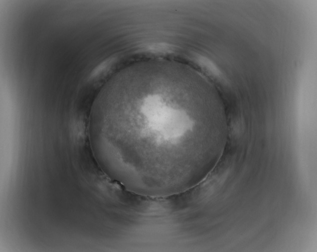X0000113781110200909301144