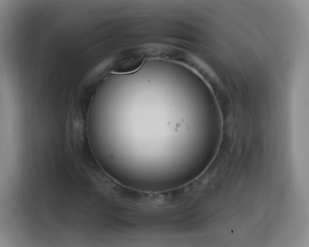 X0000113781111200909301144