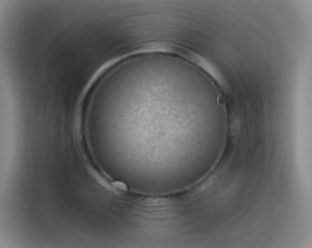 X0000113781116200909301144