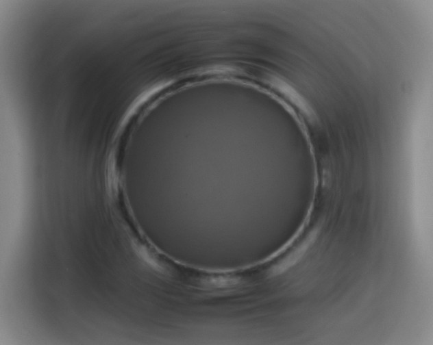 X0000113781117200909301144