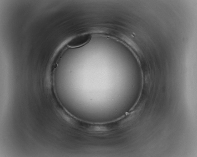 X0000113781119200909301144