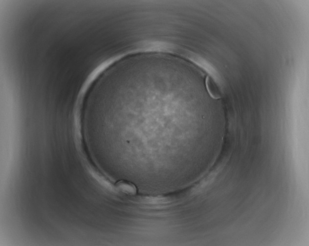 X0000113781120200909301144
