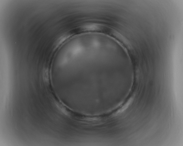 X0000113781121200909301144