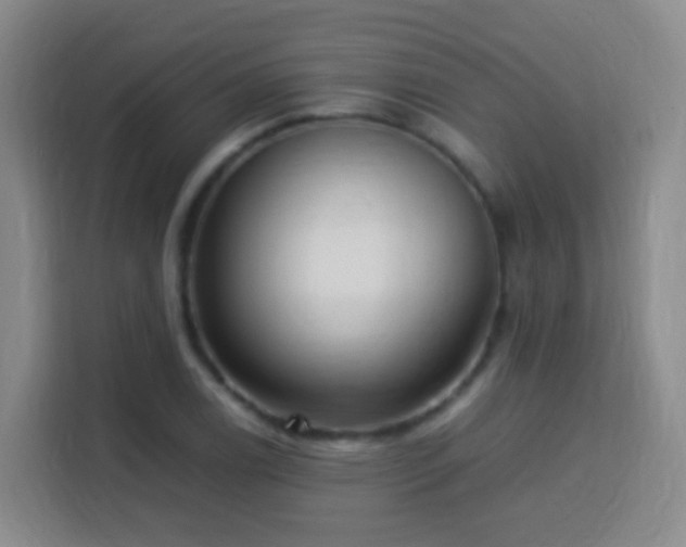 X0000113781122200909301144