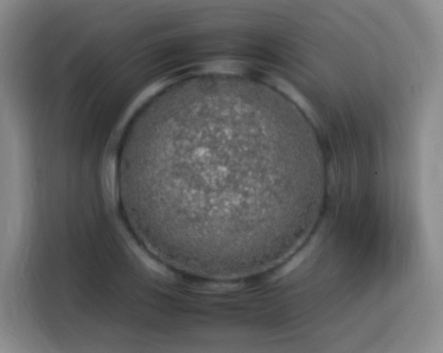 X0000113781123200909301144