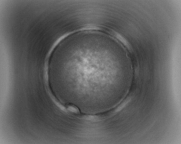 X0000113781124200909301144