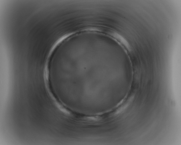 X0000113781125200909301144
