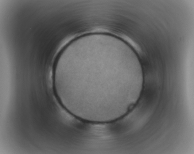X0000113781126200909301144