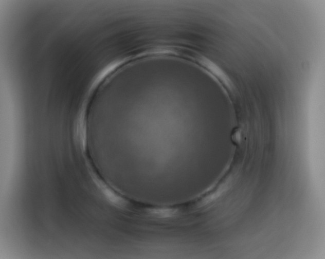X0000113781127200909301144