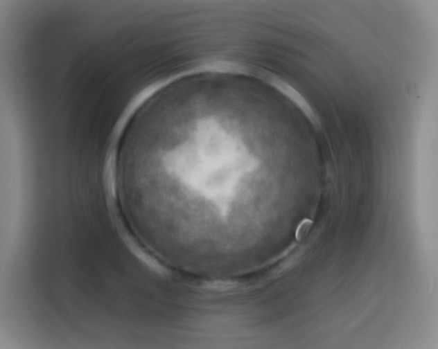 X0000113781128200909301144