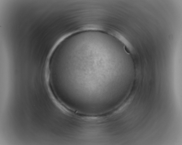 X0000113781132200909301144