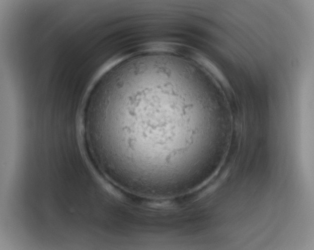 X0000113781133200909301144