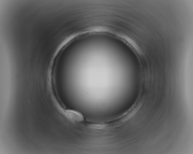 X0000113781134200909301144