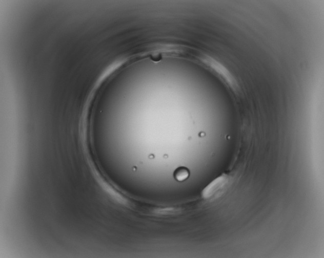 X0000113781135200909301144
