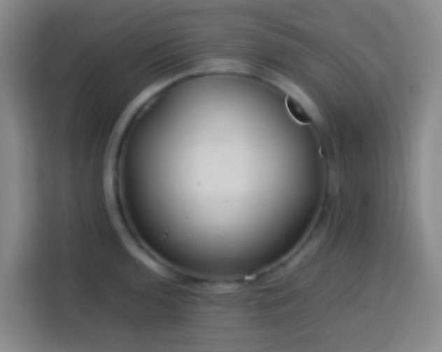 X0000113781136200909301144