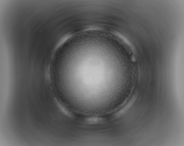 X0000113781137200909301144