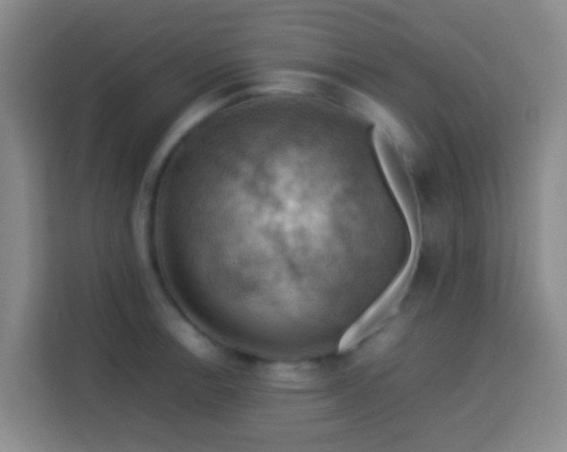 X0000113781138200909301144