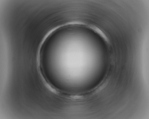 X0000113781140200909301144