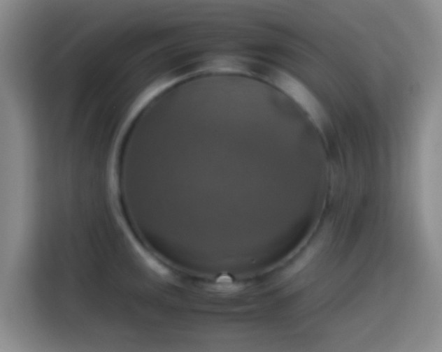 X0000113781141200909301144