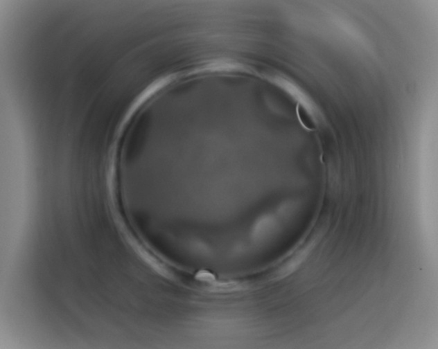 X0000113781142200909301144