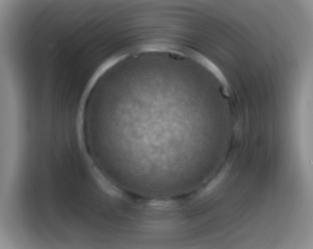 X0000113781146200909301144
