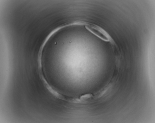 X0000113781148200909301144