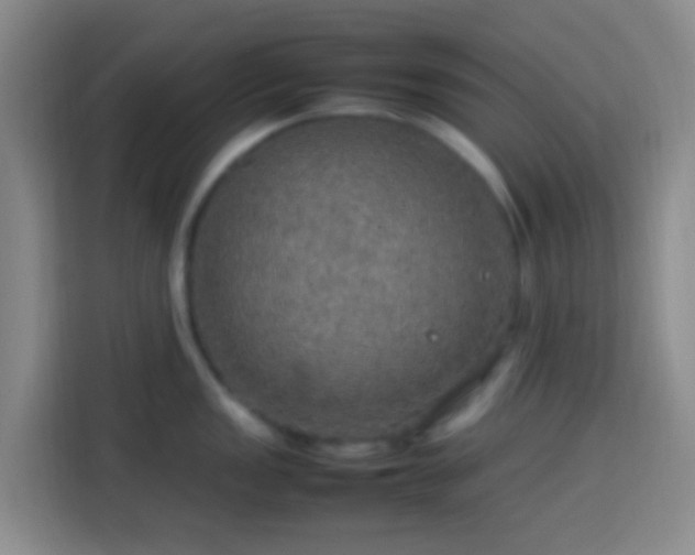 X0000113781149200909301144