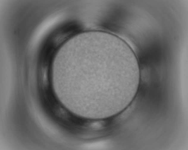 X0000113781150200909301144