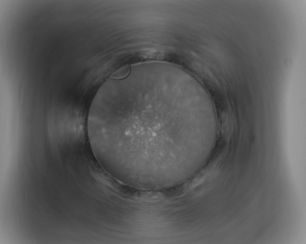 X0000113781154200909301144