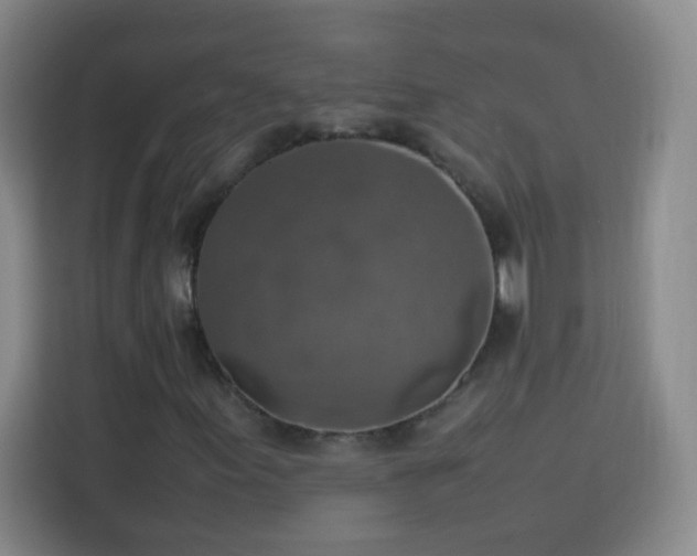 X0000113781155200909301144