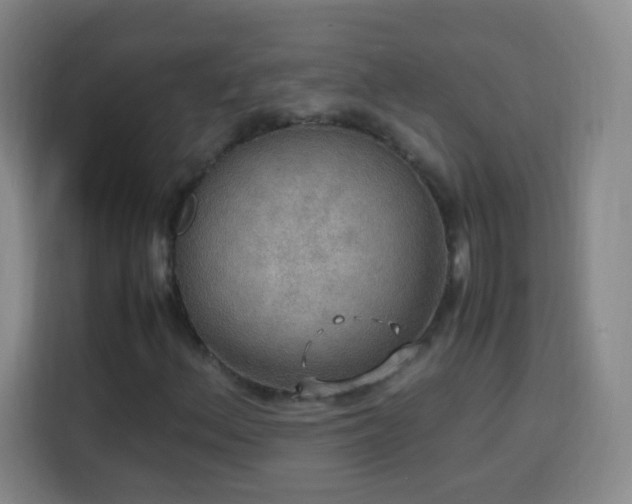 X0000113781156200909301144