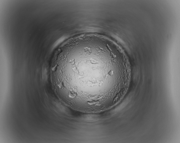 X0000113781163200909301143