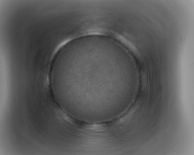 X0000113781166200909301143