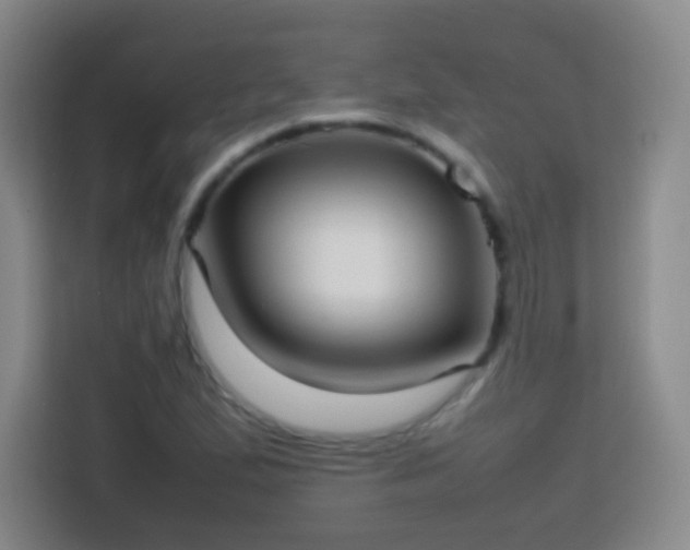 X0000113781167200909301143