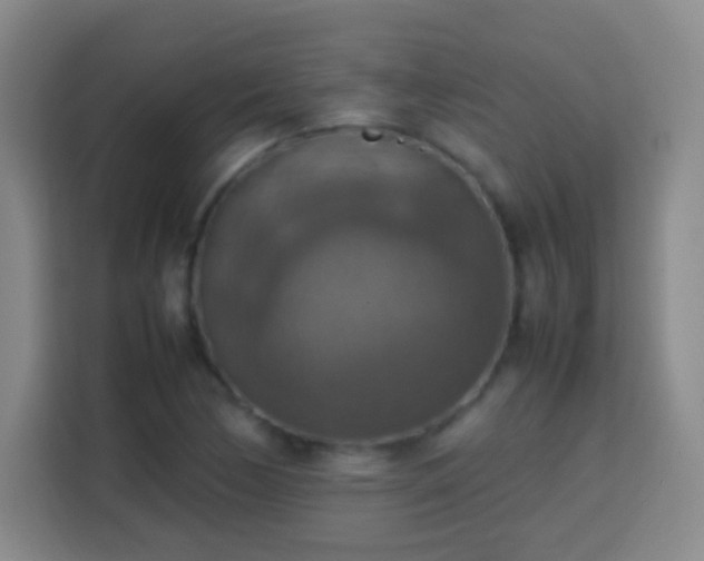 X0000113781170200909301143