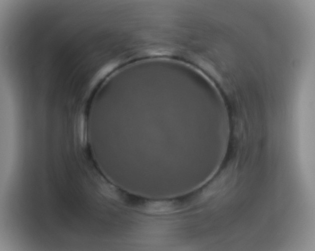 X0000113781171200909301143