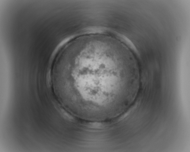 X0000113781172200909301143
