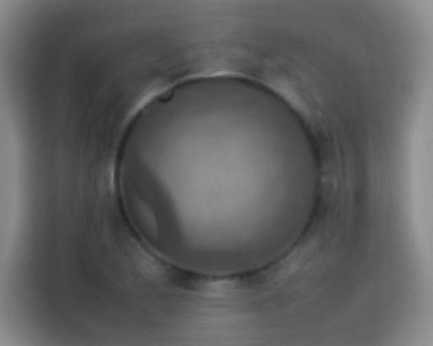 X0000113781173200909301143