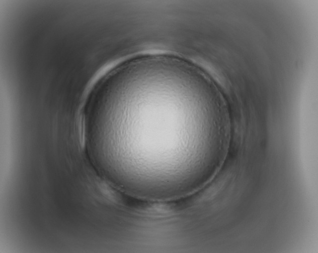 X0000113781175200909301143